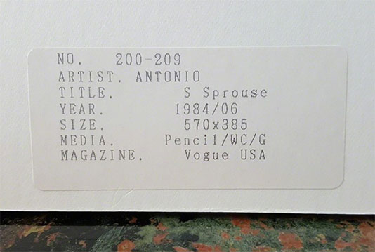 Antonio Lopez - Vogue Magazine Fashion Illustration (Stephen Sprouse), 1984
